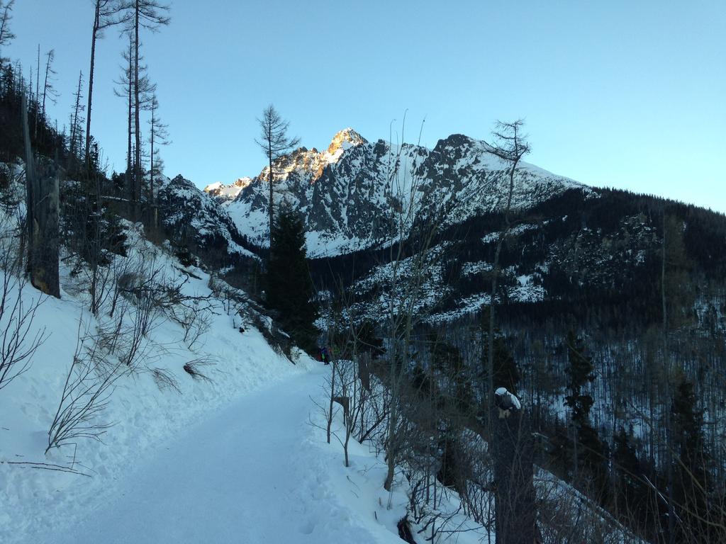 Studio A105 Stary Smokovec Hrebienok Vysoké Tatry Eksteriør bilde